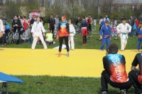 Dni Opola 2016 - Piknik rodzinno-sportowy w Parku na Osiedlu Armi Krajowej - 7279_foto_opole_258.jpg