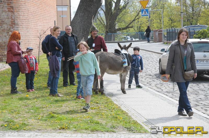 24opole.pl