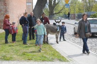 Dni Opola 2016 - Piknik Rycerski, Jarmark średniowieczny - 7282_foto_opole_036.jpg