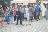 Dni Opola 2016 - Piknik Rycerski, Jarmark średniowieczny - 7282_foto_opole_057.jpg