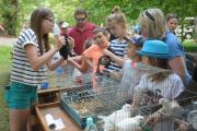 VI Piknik Rodzinny nad Odrą