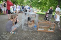 VI Piknik Rodzinny nad Odrą - 7371_foto_24opole0041.jpg