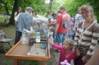 VI Piknik Rodzinny nad Odrą - 7371_foto_24opole0042.jpg