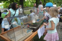 VI Piknik Rodzinny nad Odrą - 7371_foto_24opole0066.jpg