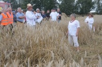 XVI Turniej Żniwowania Metodami Tradycyjnymi - Złota Kosa 2016 - 7387_foto_24opole0311.jpg