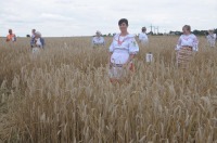 XVI Turniej Żniwowania Metodami Tradycyjnymi - Złota Kosa 2016 - 7387_foto_24opole0312.jpg