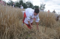 XVI Turniej Żniwowania Metodami Tradycyjnymi - Złota Kosa 2016 - 7387_foto_24opole0319.jpg