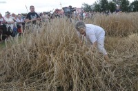 XVI Turniej Żniwowania Metodami Tradycyjnymi - Złota Kosa 2016 - 7387_foto_24opole0339.jpg