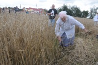 XVI Turniej Żniwowania Metodami Tradycyjnymi - Złota Kosa 2016 - 7387_foto_24opole0343.jpg