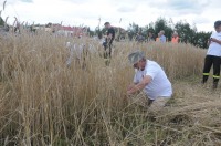 XVI Turniej Żniwowania Metodami Tradycyjnymi - Złota Kosa 2016 - 7387_foto_24opole0348.jpg