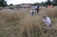 XVI Turniej Żniwowania Metodami Tradycyjnymi - Złota Kosa 2016 - 7387_foto_24opole0350.jpg