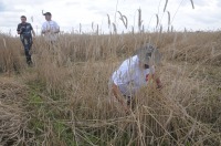 XVI Turniej Żniwowania Metodami Tradycyjnymi - Złota Kosa 2016 - 7387_foto_24opole0357.jpg