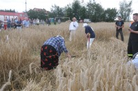 XVI Turniej Żniwowania Metodami Tradycyjnymi - Złota Kosa 2016 - 7387_foto_24opole0361.jpg