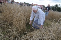 XVI Turniej Żniwowania Metodami Tradycyjnymi - Złota Kosa 2016 - 7387_foto_24opole0365.jpg