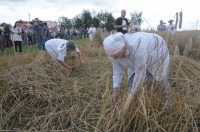 XVI Turniej Żniwowania Metodami Tradycyjnymi - Złota Kosa 2016 - 7387_foto_24opole0384.jpg