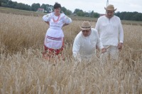 XVI Turniej Żniwowania Metodami Tradycyjnymi - Złota Kosa 2016 - 7387_foto_24opole0402.jpg