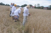 XVI Turniej Żniwowania Metodami Tradycyjnymi - Złota Kosa 2016 - 7387_foto_24opole0403.jpg