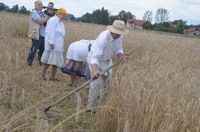 XVI Turniej Żniwowania Metodami Tradycyjnymi - Złota Kosa 2016 - 7387_foto_24opole0404.jpg