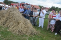 XVI Turniej Żniwowania Metodami Tradycyjnymi - Złota Kosa 2016 - 7387_foto_24opole0425.jpg