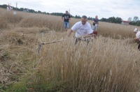 XVI Turniej Żniwowania Metodami Tradycyjnymi - Złota Kosa 2016 - 7387_foto_24opole0436.jpg