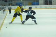 PGE Orlik Opole 6:2 Stoczniowiec 2014 Gdańsk