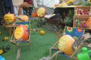 II Festiwal Dyni w Krapkowicach