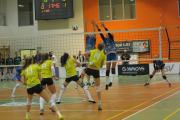 AZS Politechnika Opolska 0:3 WTS Solna Wieliczka