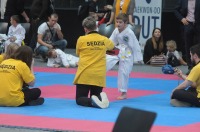 Taekwondo Polish Open Cup 2016 Opole - 7513_foto_24opole_065.jpg