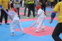 Taekwondo Polish Open Cup 2016 Opole - 7513_foto_24opole_069.jpg