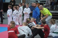 Taekwondo Polish Open Cup 2016 Opole - 7513_foto_24opole_072.jpg