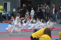 Taekwondo Polish Open Cup 2016 Opole - 7513_foto_24opole_074.jpg