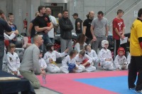 Taekwondo Polish Open Cup 2016 Opole - 7513_foto_24opole_079.jpg
