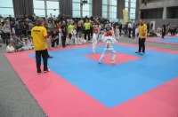 Taekwondo Polish Open Cup 2016 Opole - 7513_foto_24opole_084.jpg