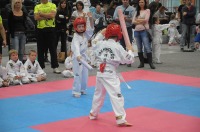 Taekwondo Polish Open Cup 2016 Opole - 7513_foto_24opole_086.jpg