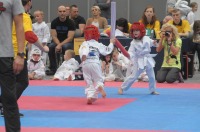 Taekwondo Polish Open Cup 2016 Opole - 7513_foto_24opole_089.jpg