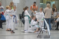 Taekwondo Polish Open Cup 2016 Opole - 7513_foto_24opole_093.jpg