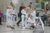 Taekwondo Polish Open Cup 2016 Opole - 7513_foto_24opole_095.jpg
