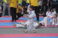 Taekwondo Polish Open Cup 2016 Opole - 7513_foto_24opole_101.jpg