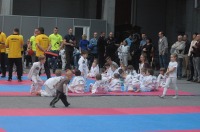 Taekwondo Polish Open Cup 2016 Opole - 7513_foto_24opole_102.jpg