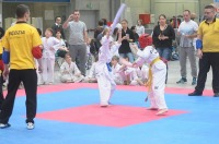 Taekwondo Polish Open Cup 2016 Opole - 7513_foto_24opole_103.jpg
