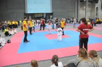 Taekwondo Polish Open Cup 2016 Opole - 7513_foto_24opole_112.jpg