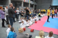 Taekwondo Polish Open Cup 2016 Opole - 7513_foto_24opole_113.jpg