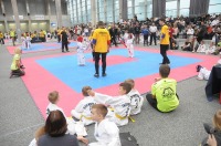 Taekwondo Polish Open Cup 2016 Opole - 7513_foto_24opole_115.jpg