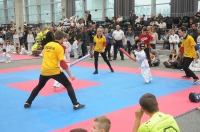 Taekwondo Polish Open Cup 2016 Opole - 7513_foto_24opole_119.jpg
