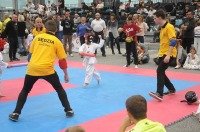 Taekwondo Polish Open Cup 2016 Opole - 7513_foto_24opole_121.jpg