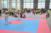 Taekwondo Polish Open Cup 2016 Opole - 7513_foto_24opole_127.jpg