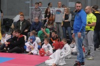Taekwondo Polish Open Cup 2016 Opole - 7513_foto_24opole_142.jpg