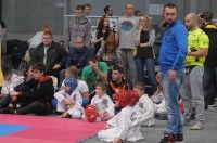 Taekwondo Polish Open Cup 2016 Opole - 7513_foto_24opole_142.jpg