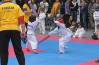 Taekwondo Polish Open Cup 2016 Opole - 7513_foto_24opole_144.jpg