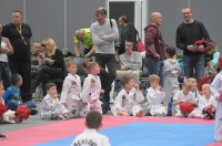 Taekwondo Polish Open Cup 2016 Opole - 7513_foto_24opole_148.jpg